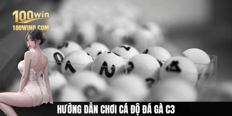 Hướng dẫn người dùng chơi đá gà C3