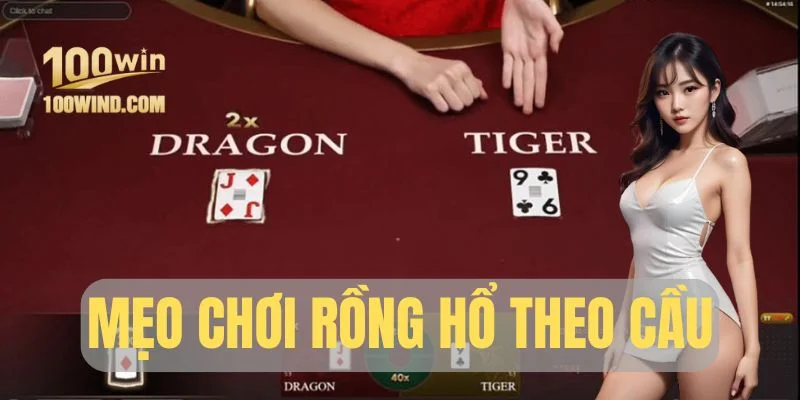 Mẹo chơi Rồng Hổ theo cầu