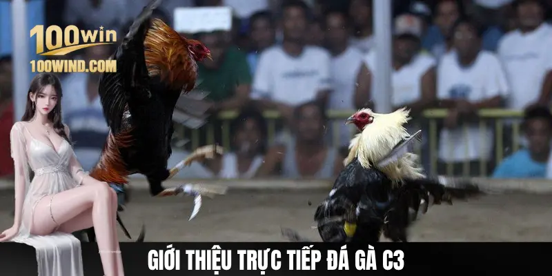Sơ lược hình thức trực tiếp đá gà C3