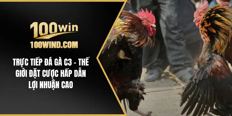 Trực Tiếp Đá Gà C3 - Thế Giới Đặt Cược Hấp Dẫn Lợi Nhuận Cao